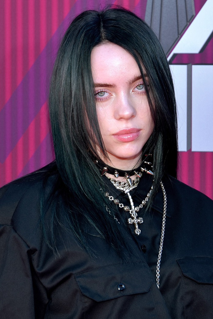 Billie Eilish's family home broken into in LA — Report - The Lagos Review