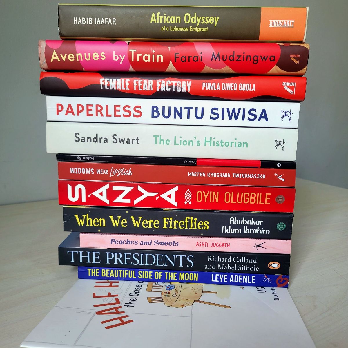 Longlist for the CANEX Prize for Publishing in Africa announced